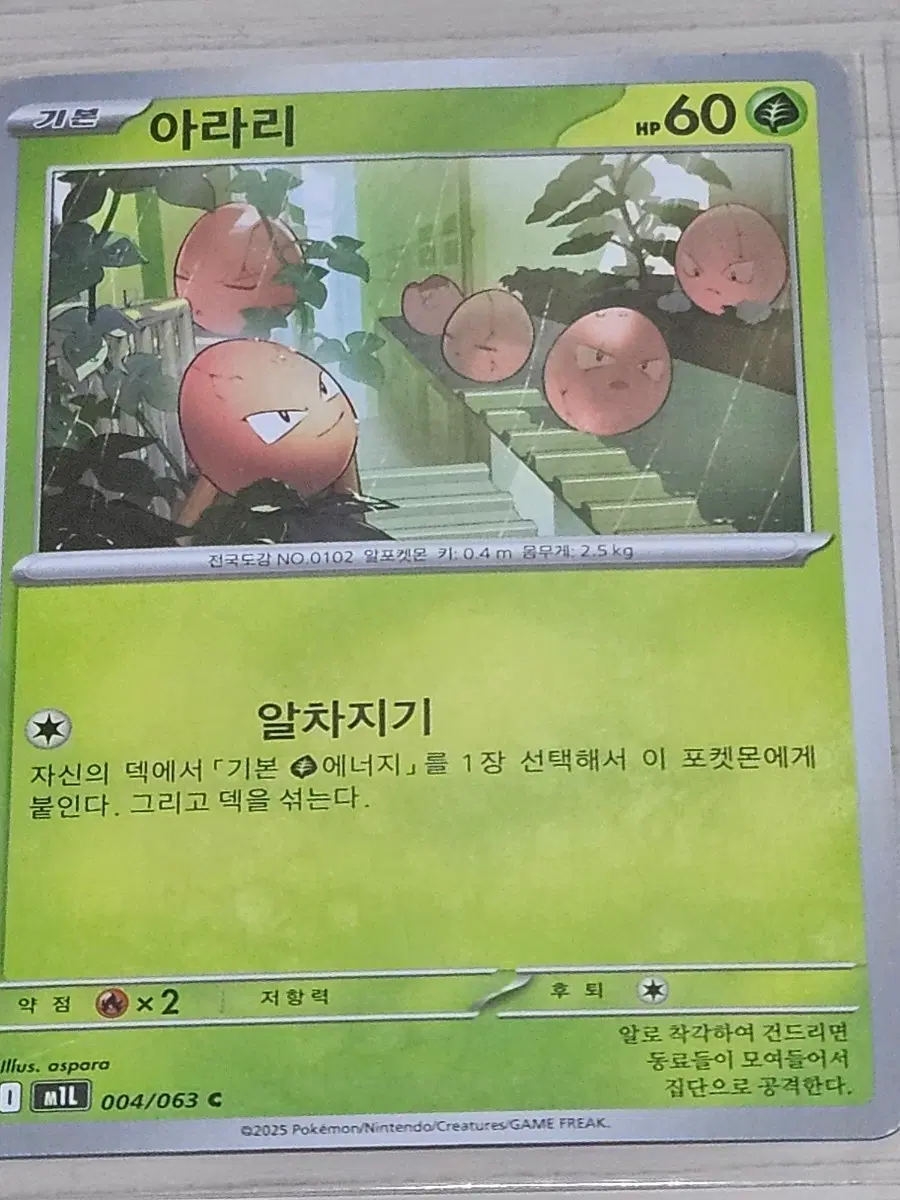 [최저가] 포켓몬 카드 아라리 004/063 C