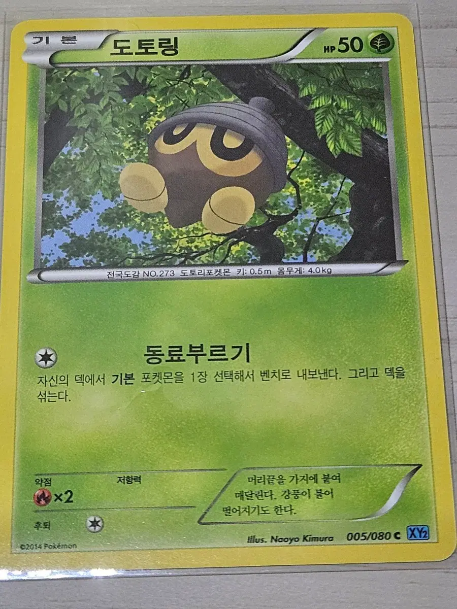 [최저가] 포켓몬카드 도토링 005/080 C