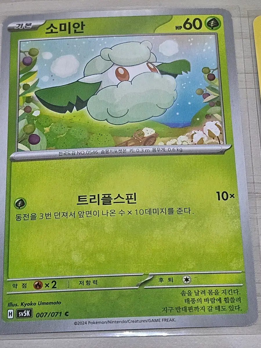 [최저가] 포켓몬카드 소미안