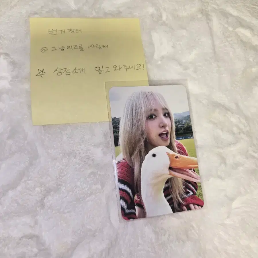 아이브 리즈 포카