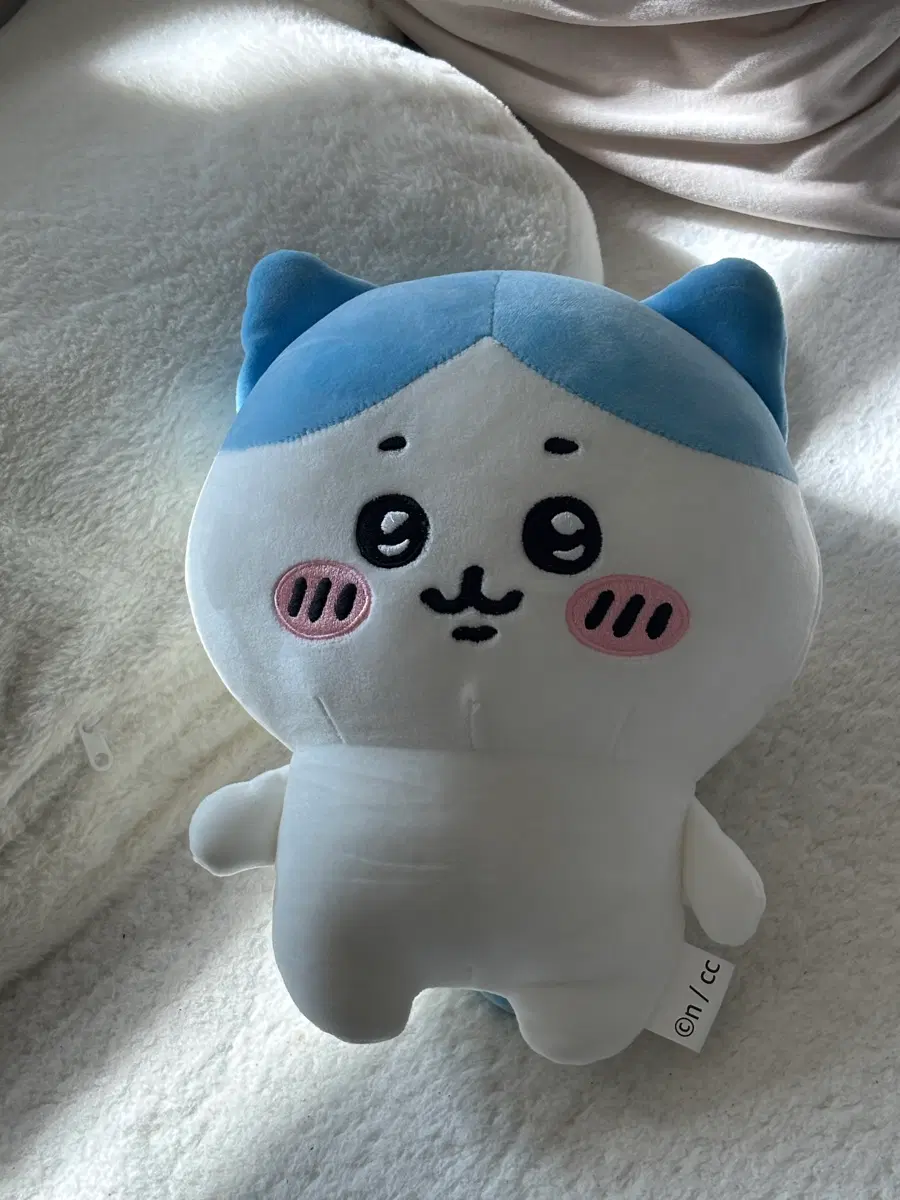 치이카와 중형인형