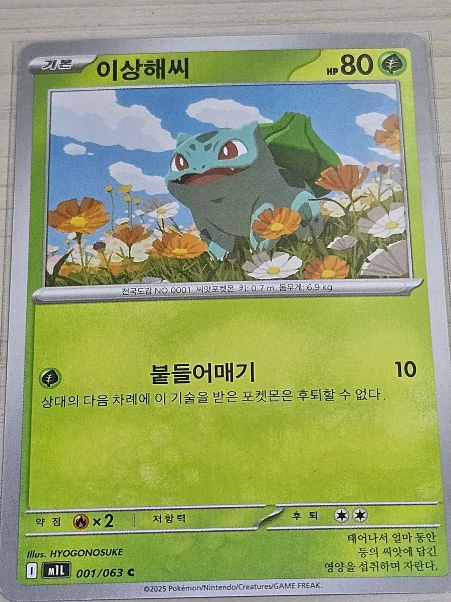[최저가] 포켓몬카드 이상해씨