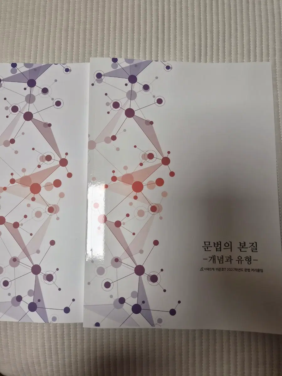 시대인재 이준호T 문법의 본질 교재