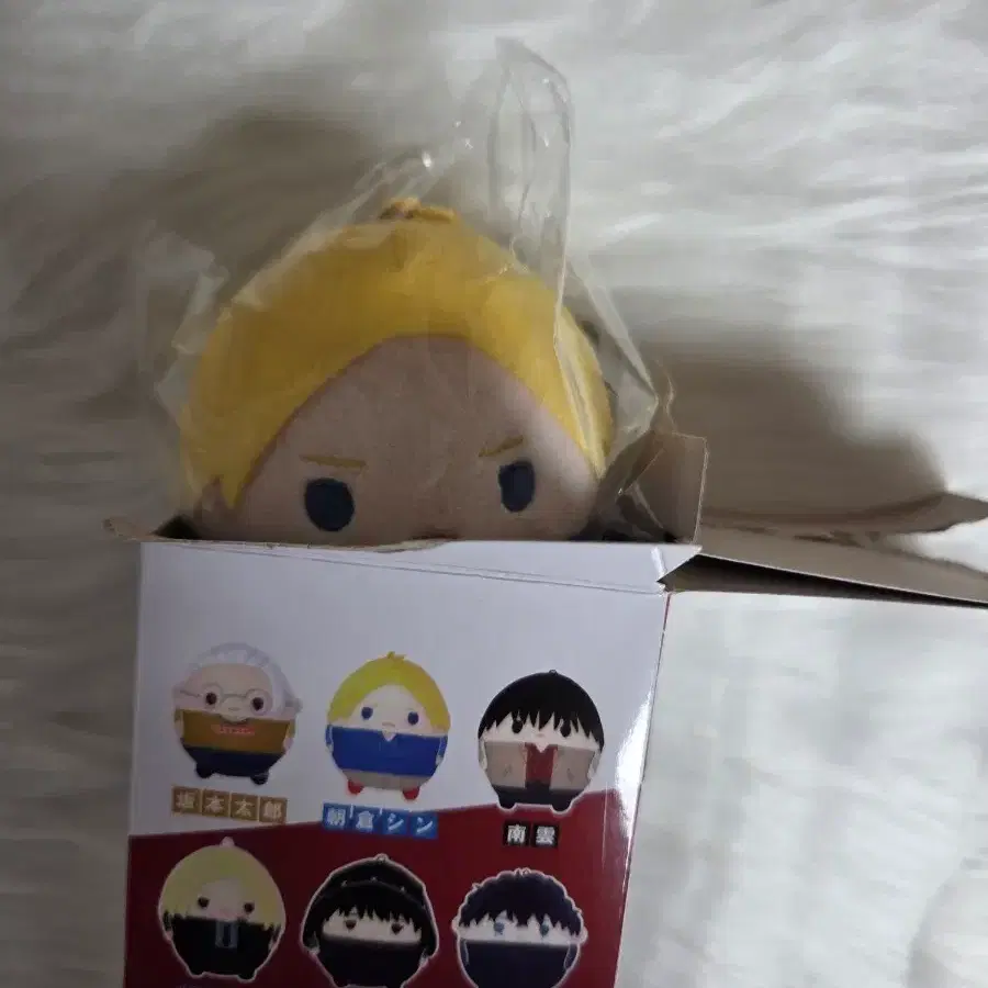 사카모토 데이즈 아사쿠라 신 후와코로링 새상품