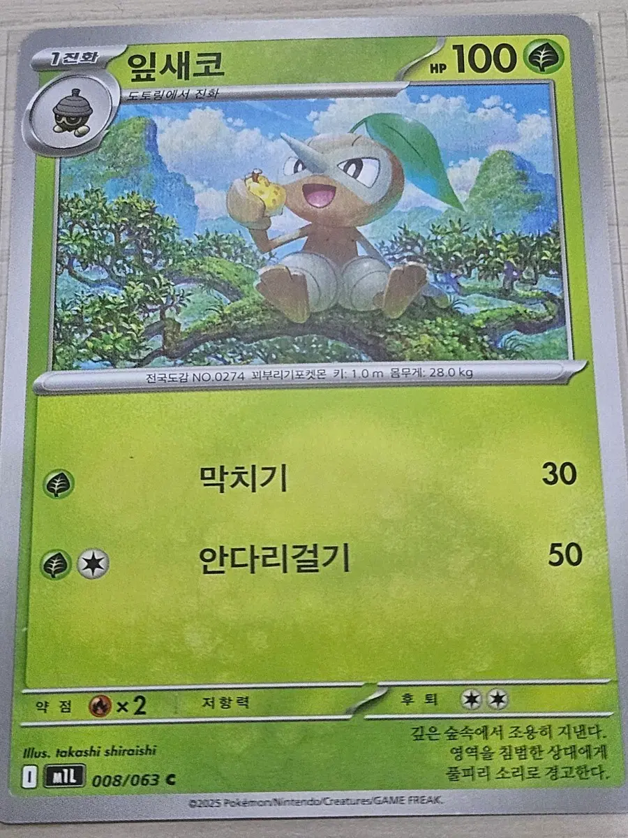 [최저가] 포켓몬 카드 잎새코