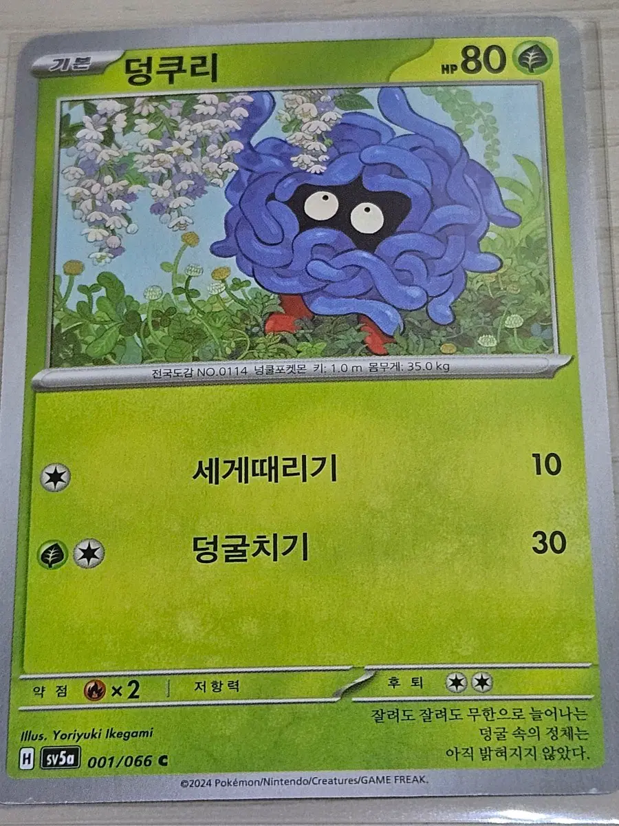 [최저가] 포켓몬카드 덩쿠리