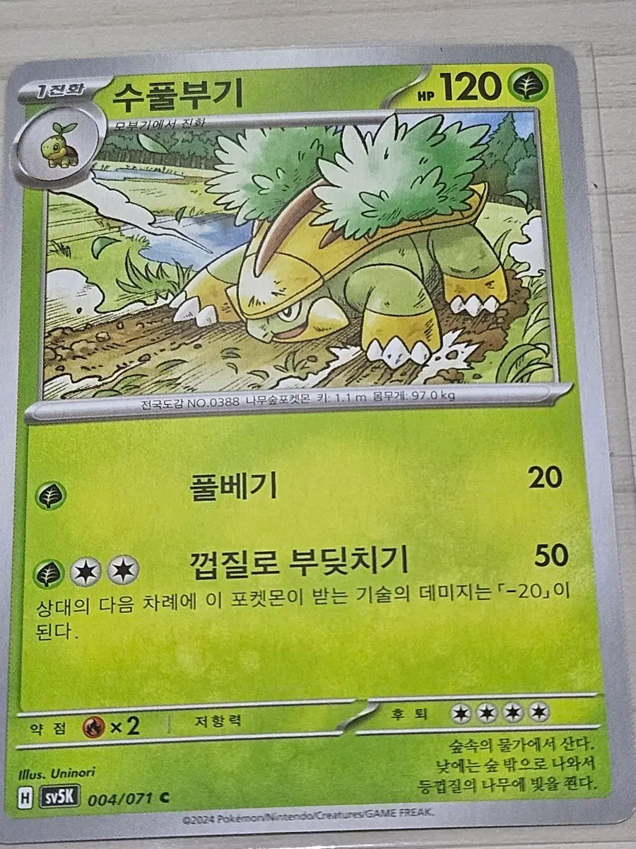 [최저가] 포켓몬 카드 수풀부기