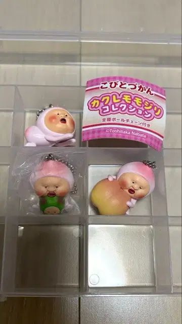 코비토즈칸 카쿠레모모지리 컬렉션 가챠