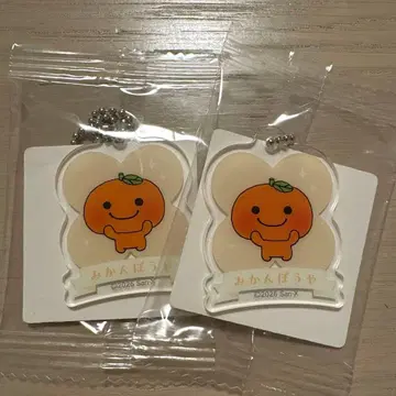 산엑스 유니버스 아크릴 미니 아크릴 키체인 전 24종류