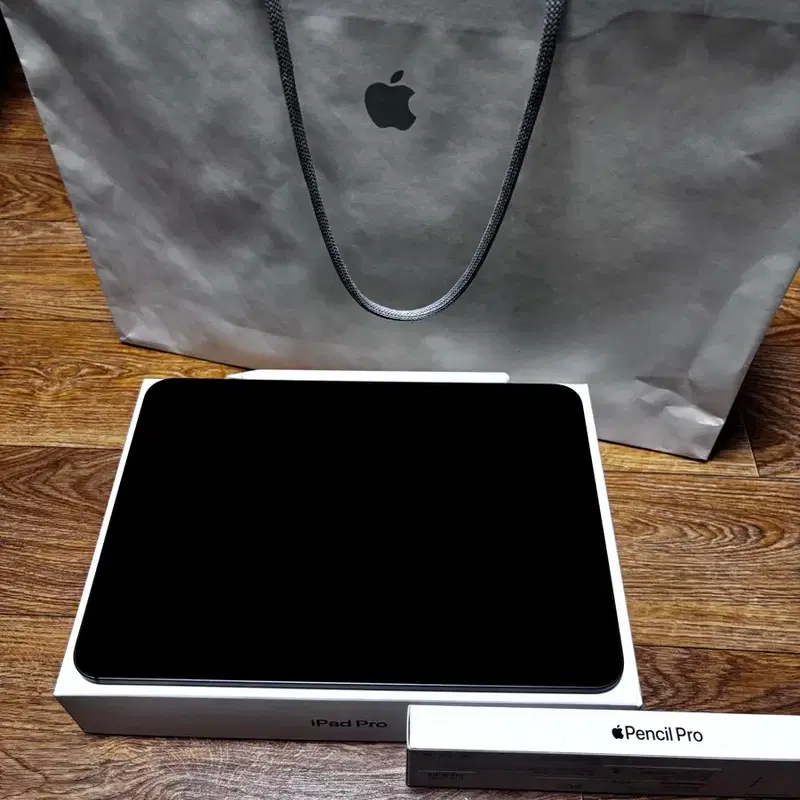 아이패드 Pro M4 11인치 256GB Wi-Fi + Apple Pencil Pro