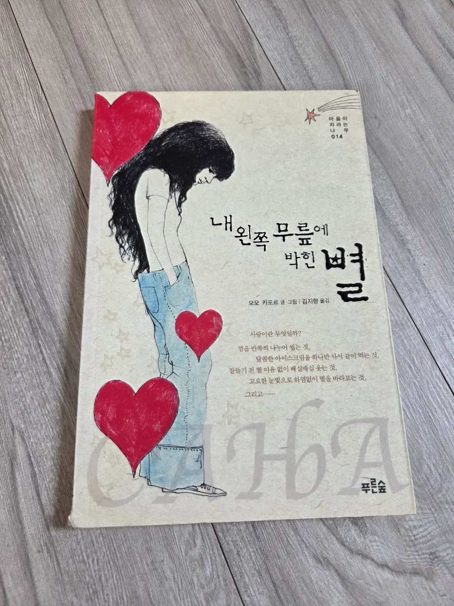 내 왼쪽 무릎에 박힌 별 책