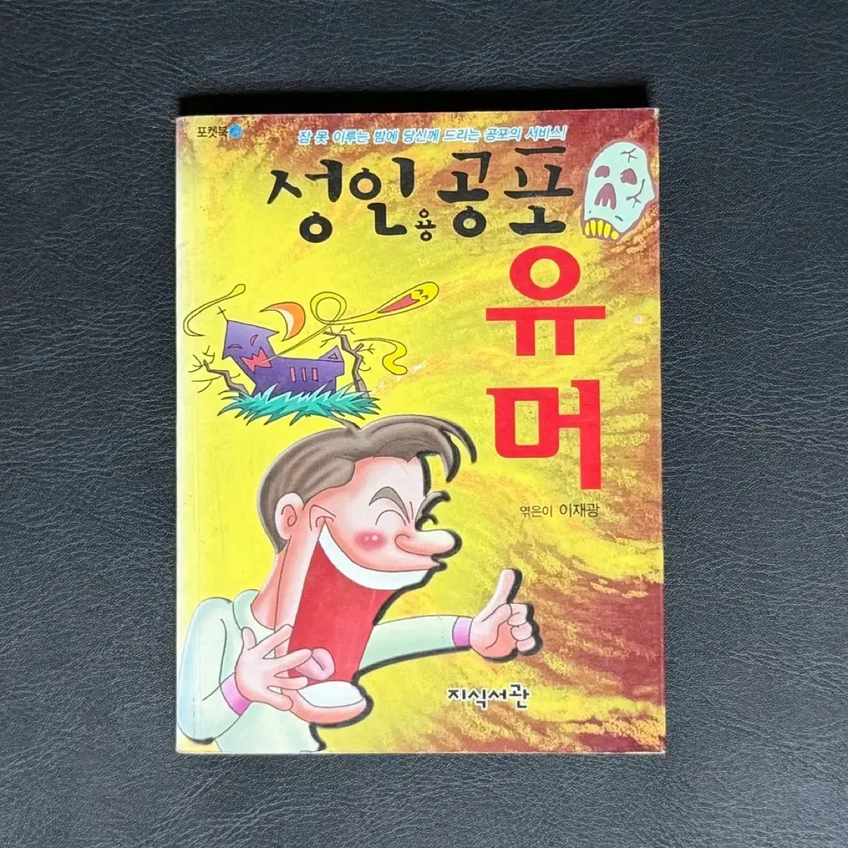 성인용 공포 유머책 포켓북 지식서관 출판사 공포집 고전문구 고전도서