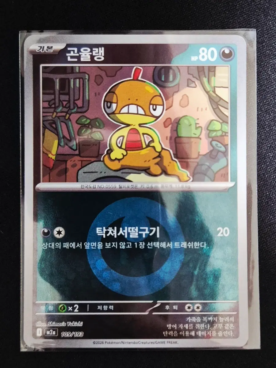 포켓몬 카드 곤율랭 109/193