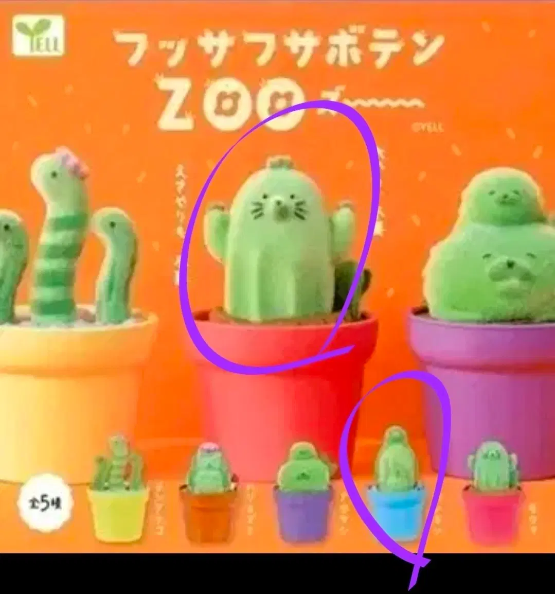 후사후사 가챠 선인장가챠 두더지 펭귄