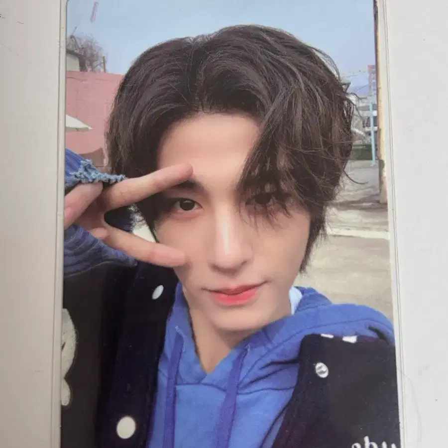 이한 who 앨포