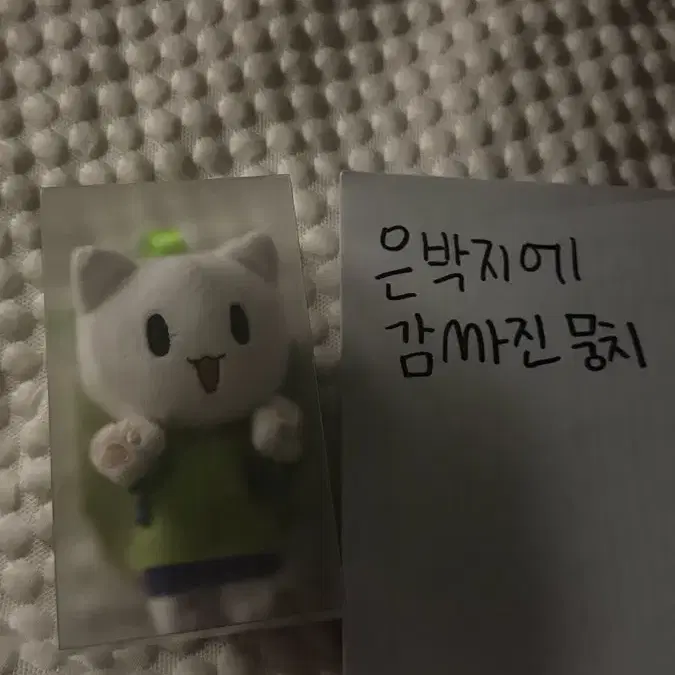 오신령 오늘부터 신령님 토모에 나나미 고양이 인형 애니