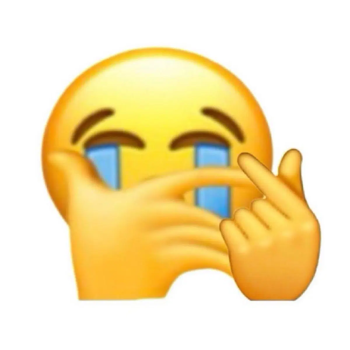 구해요>>후부키 한강 초판 소장본