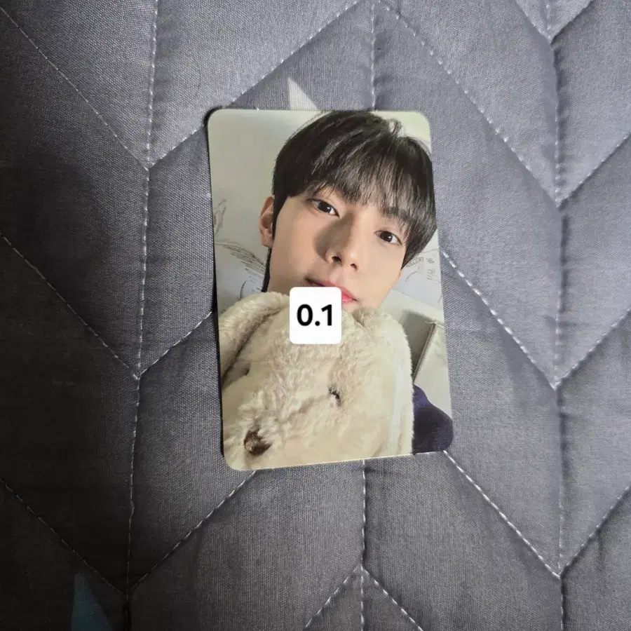최립우 앨포 앨범 포카 양도