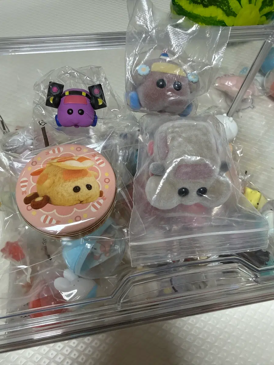 뿌이뿌이 모루카 , 플러피가챠 , 틴케이스 , DJ모루카 , 냠냠모루카 등등