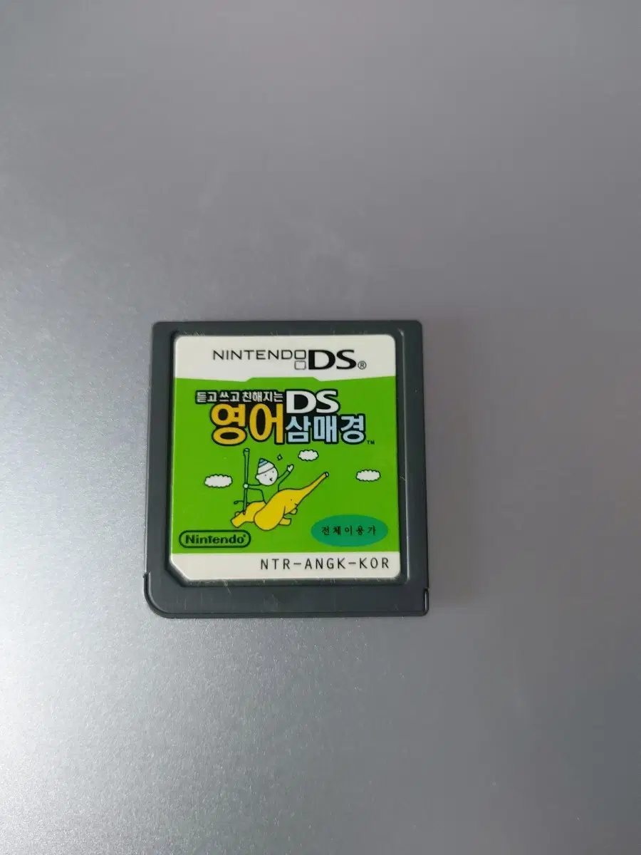 닌텐도 DS 영어삼매경 알칩