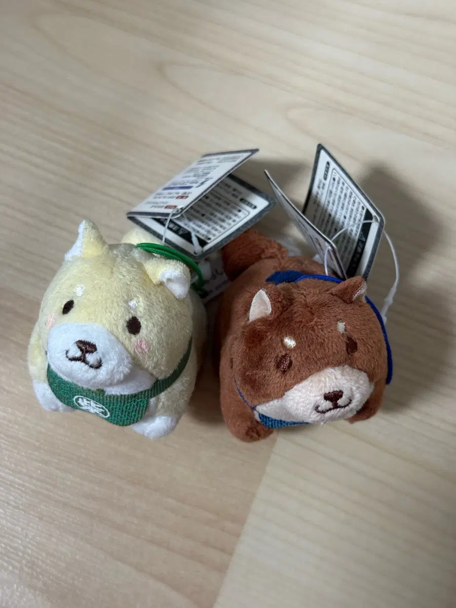 시바견 인형