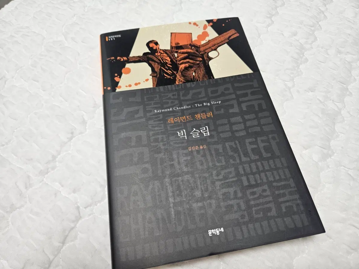 빅 슬립 소설책 판매