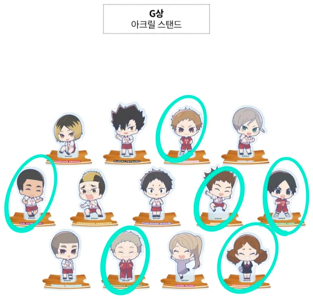 [미개봉]하이큐 후류쿠지 G상