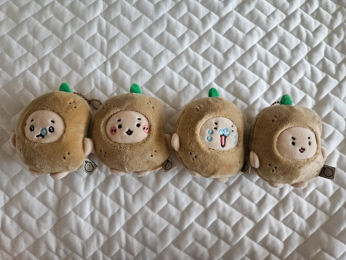 망그러진곰 망곰이 감자 인형 일괄