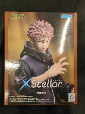 세가 XStellar 이타도리 유우지