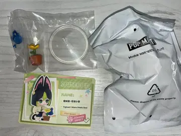 원신 학원 캠퍼스 학원광영시 POP MART 피규어 타이나리