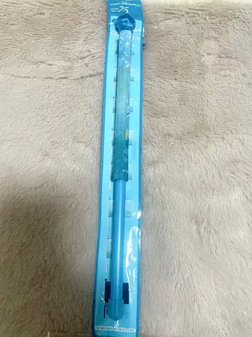 디즈니씨 25주년 플래그 시크릿
