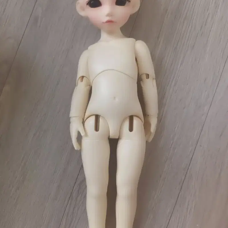 구관 바니바니 야미B 판매합니다