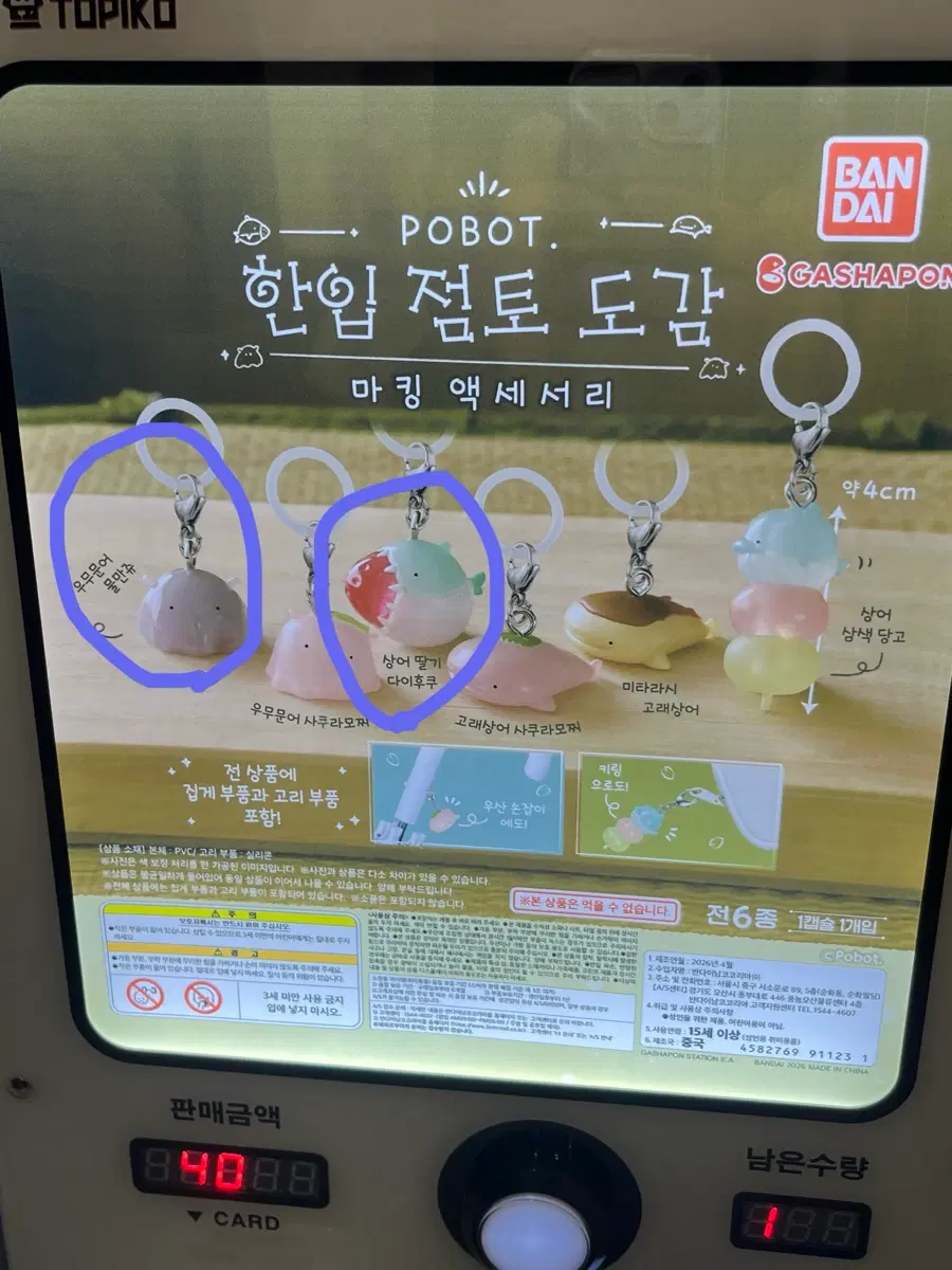 Pobot 포붓토 한입점토도감 메지루시 가챠 2종일괄(우무문어 물만쥬,상어딸기다이후쿠)