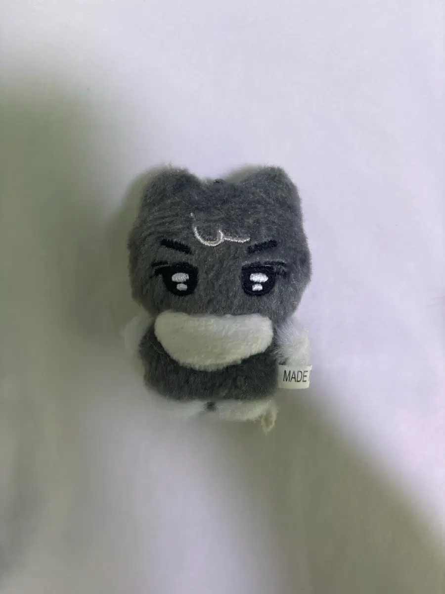 베이비 냥쫑군 엔하이픈 제이 인형