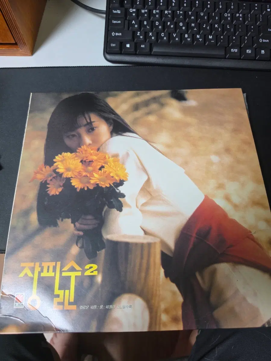 장필순 2집  LP