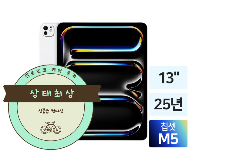 아이패드 프로 M5 13인치 256GB 스페이스블랙 애플펜슬 포함 풀박스