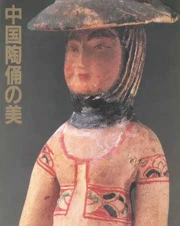 도록 중국 도용의 미