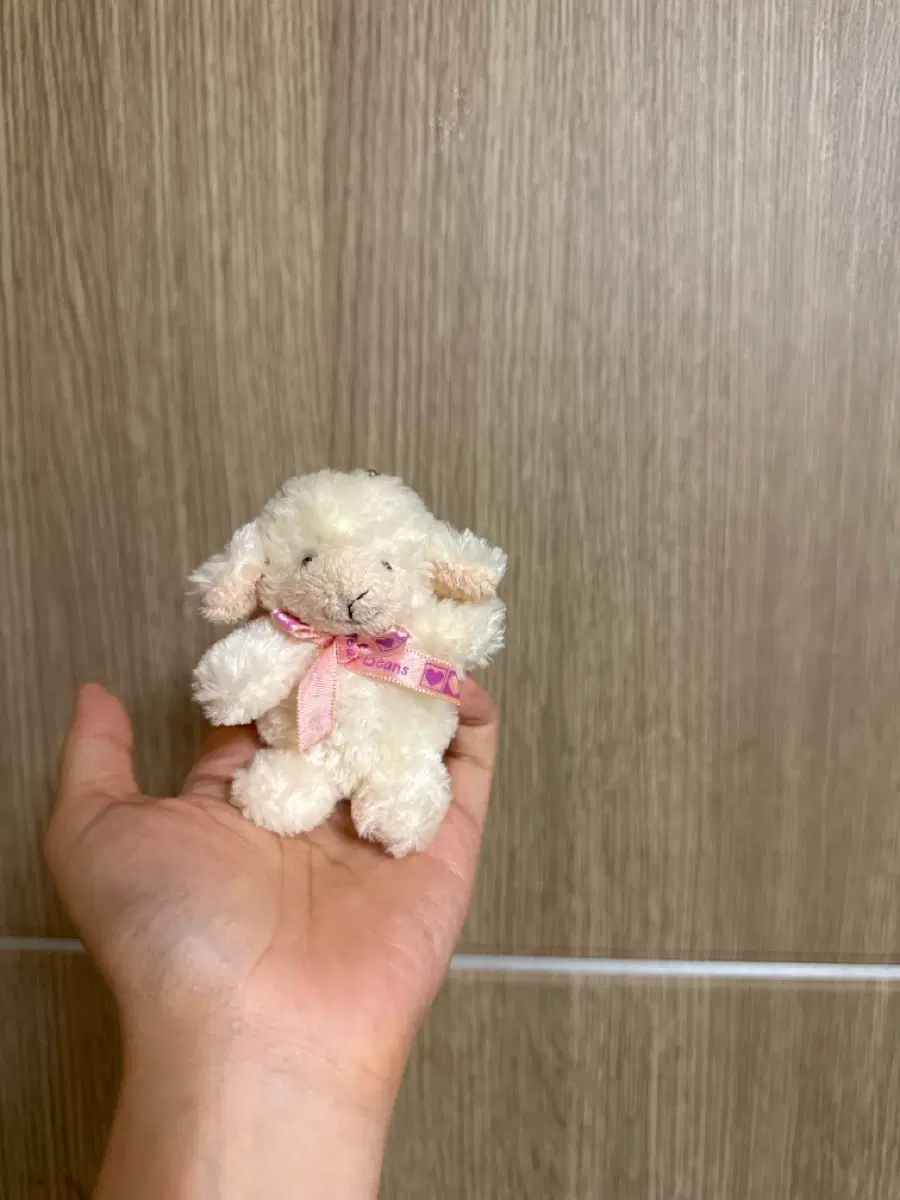 시나다 하트택 양
