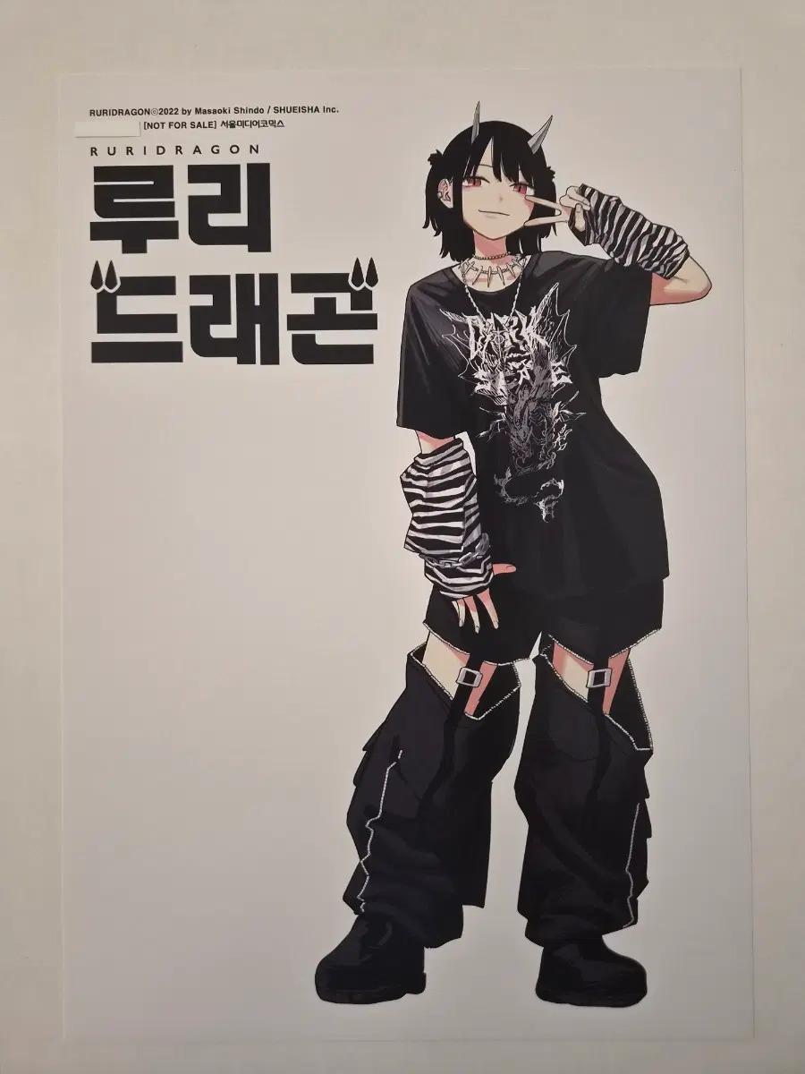 루리드래곤 포스터