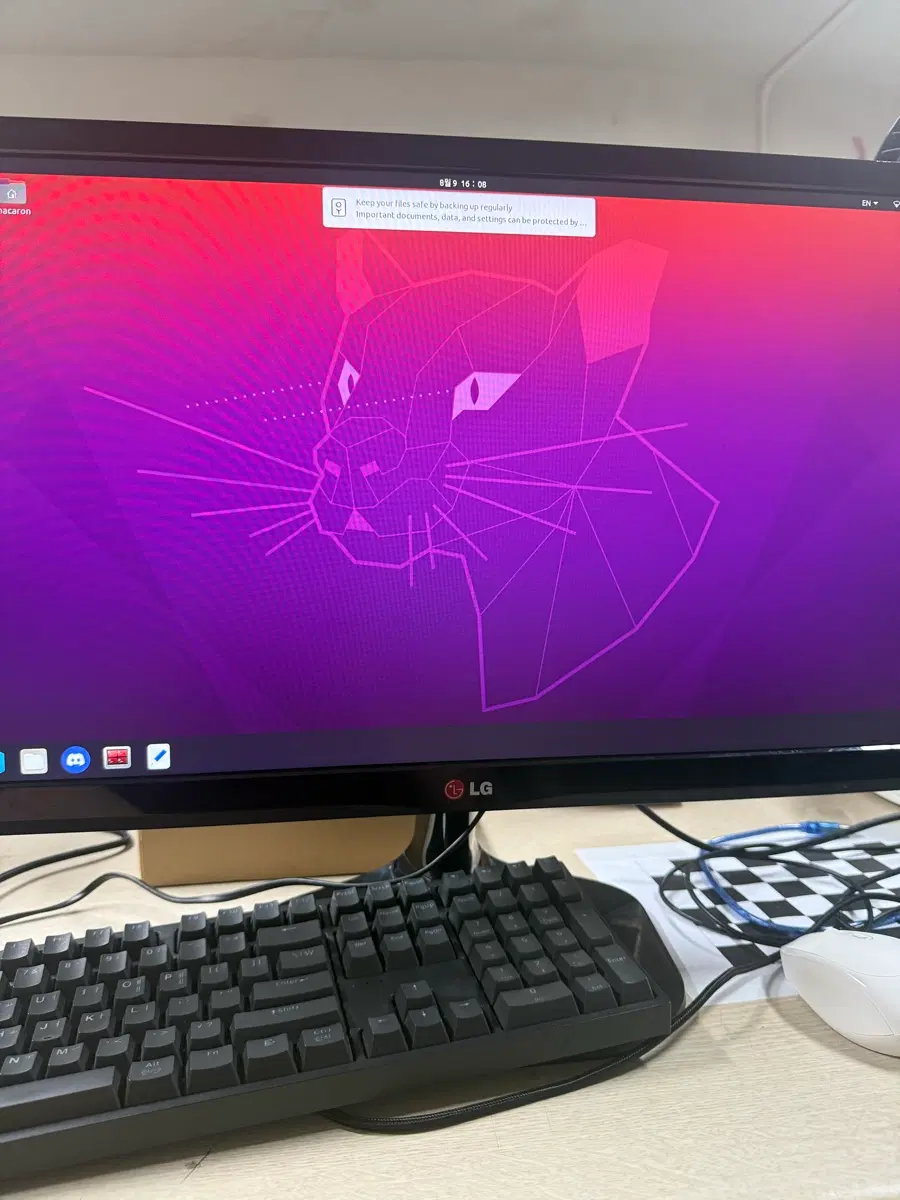 LG 모니터