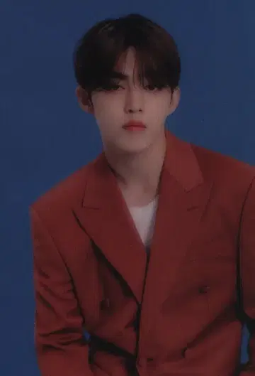 SEVENTEEN BE THE SUN JAPAN S.COUPS 트레이딩 카드 66