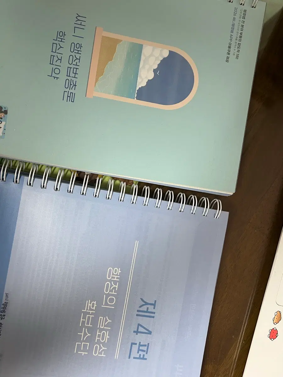 써니 행정법 총론 핵심집약 2026