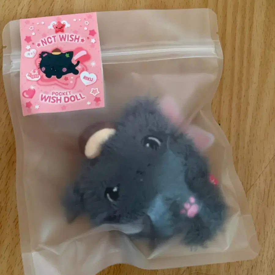 NCT WISH 포켓 위시 인형 쿠리 리쿠 pocket wish doll Riku