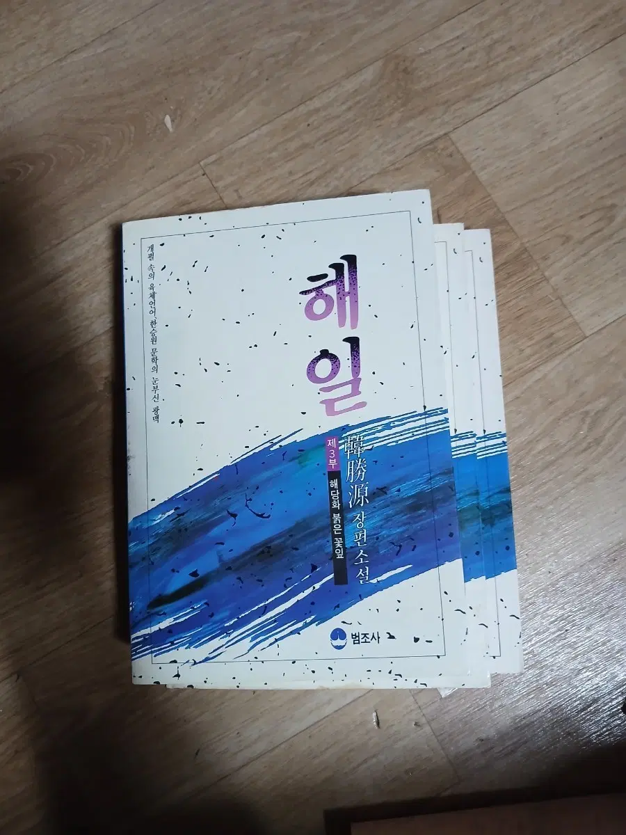 해일 한승원 장편소설 1-3부 해당화 붉은 꽃잎3권