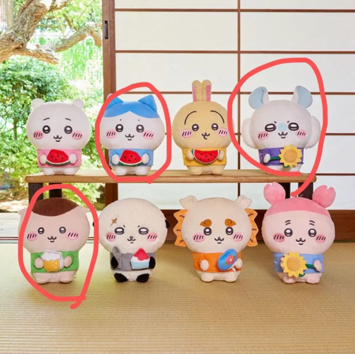 치이카와 여름쿠지 누이 하치와레 모몽가 쿠리만쥬