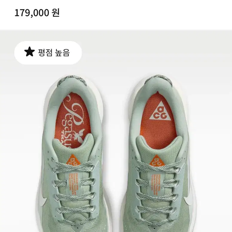 나이키 ACG 페가수스 트레일 남성 러닝화