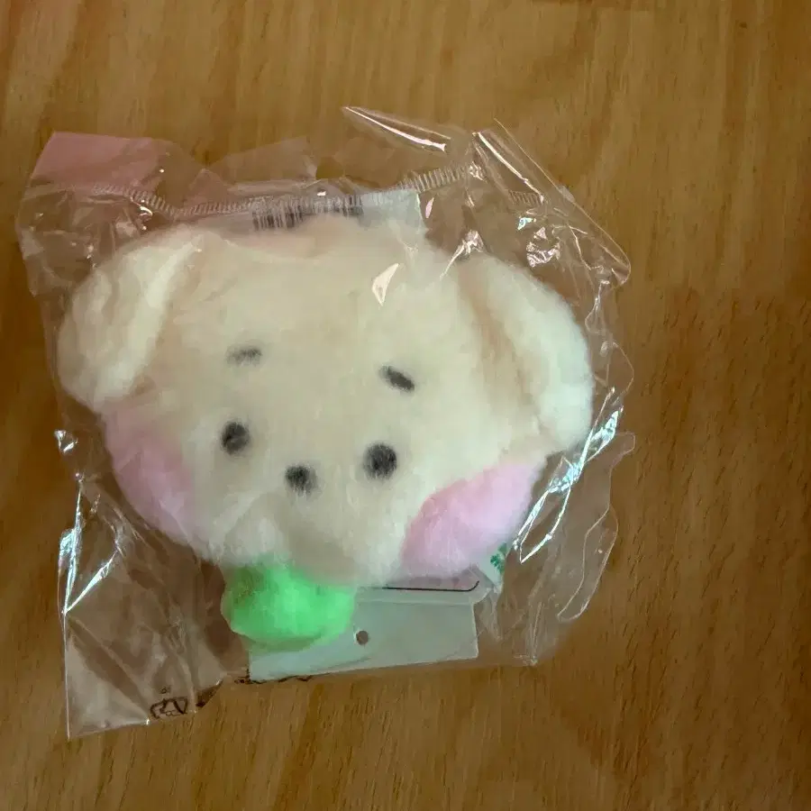 미개봉) NCT WISH Wishnini 위시니니 댕트리니 줄자 키링 Dentriver Jaehee measuring tape keyring