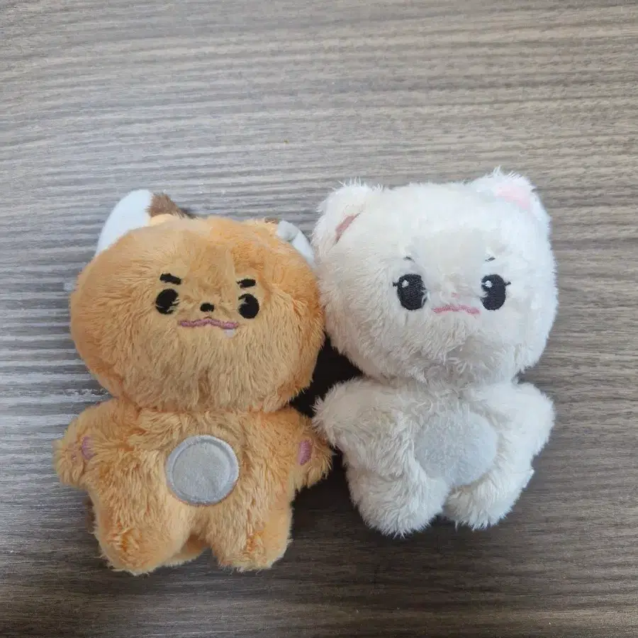투모로우바이투게더 쭌콩이&아이브 안땅콩 판매