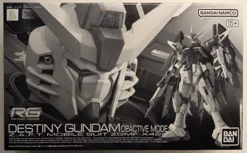 BANDAI SPIRITS RG 1/144 반다이남코판 데스티니 건담 디액티브 모드