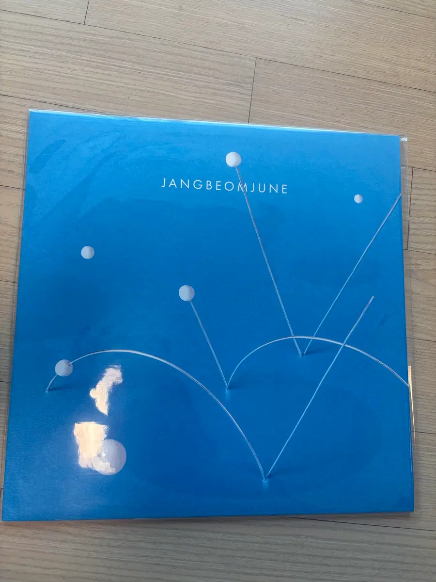 장범준 LP 미개봉